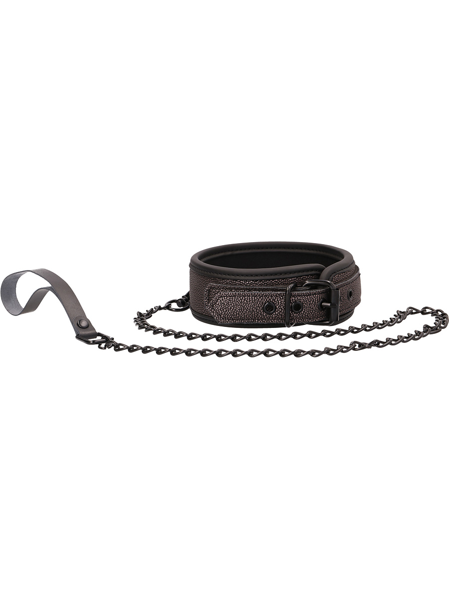 Elegant Collar with Leash