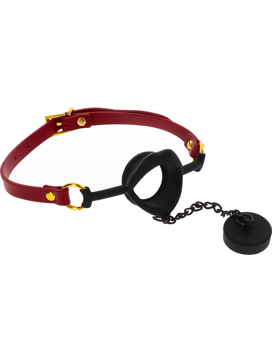 Luxury Kinky Gag with Plug