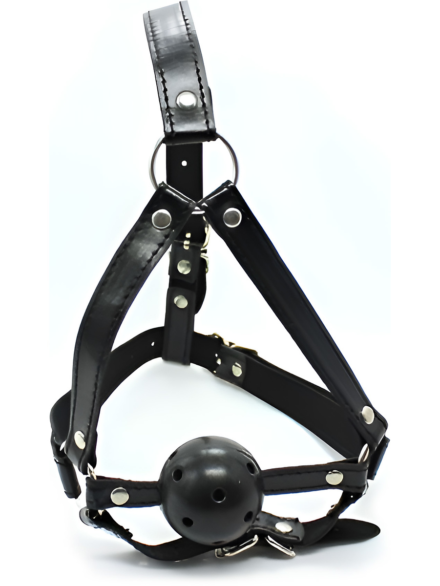 Fetish Art, Face Harness Gag