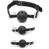 Ball Gag Training System
